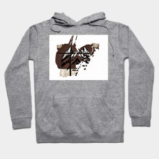 West Virginia Abstraction Hoodie